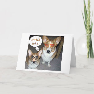 CORGIS ZEGT GASTHEID DIE JE WENST OP BIRTHDAY KAART