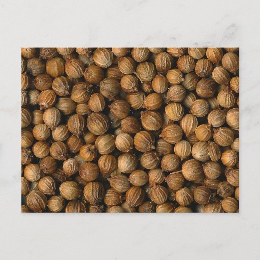 Coriander Briefkaart (Voorkant)
