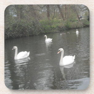 Cork Dessous de verre Swans Rivière natation