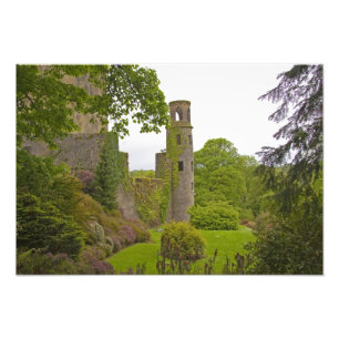 Cork, Ierland. Het beruchte Blarney Castle 2 Foto Afdruk