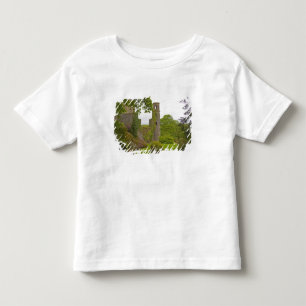 Cork, Ierland. Het beruchte Blarney Castle 2 Kinder Shirts