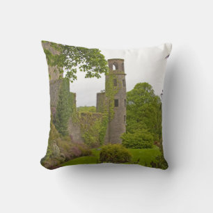 Cork, Ierland. Het beruchte Blarney Castle 2 Kussen