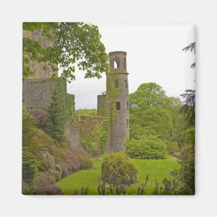 Cork, Ierland. Het beruchte Blarney Castle 2 Magneet
