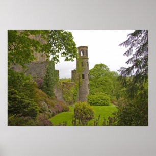 Cork, Ierland. Het beruchte kasteel 2 van Blarney Poster