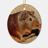 Corkboard Kijk Guinee Keramisch Ornament (Links)