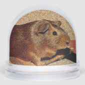 Corkboard Look Guinea Pig (Avant)