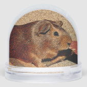 Corkboard Look Guinea Pig (Arrière)
