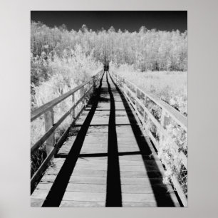 Corkschroef Swamp Sanctuary boardwalk, Florida Poster