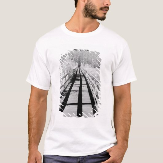 Corkschroef Swamp Sanctuary boardwalk, Florida T-shirt (Voorkant)