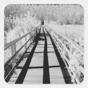 Corkschroef Swamp Sanctuary boardwalk, Florida Vierkante Sticker