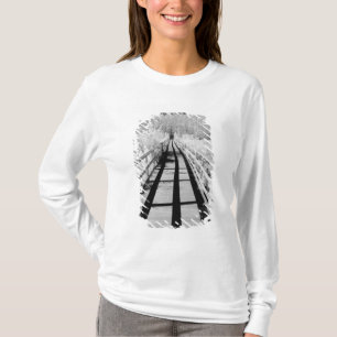 Corkscrew Swamp Sanctuary plankier, Florida, T-shirt