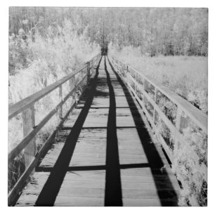 Corkscrew Swamp Sanctuary plankier, Florida, Tegeltje