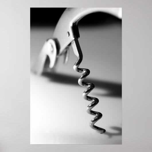 Corkvis, une vue différente - Poster (Devant)