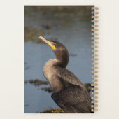 Cormorant à double poitrine (Dos)