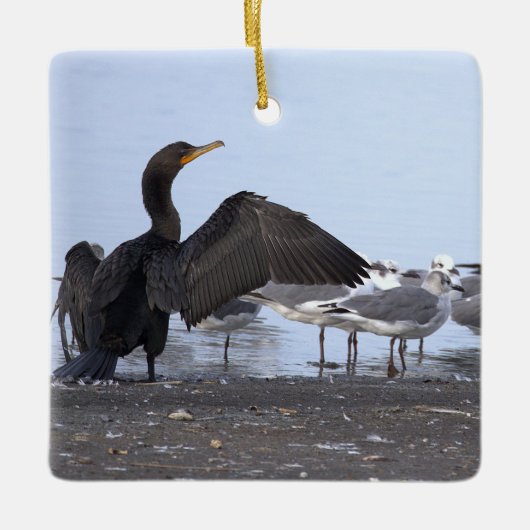 Cormorant and Seagulls Ornament  (Voorkant)