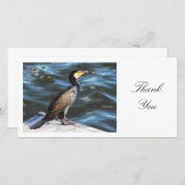 Cormorant - Merci (Devant / Derrière)