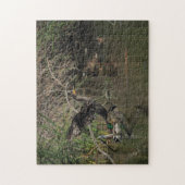 Cormorant Puzzle Legpuzzel (Verticaal)