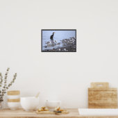 Cormorant with Seagulls Poster  (Cuisine)