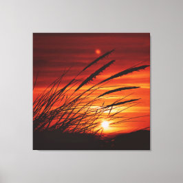 Corn Canvas Afdruk