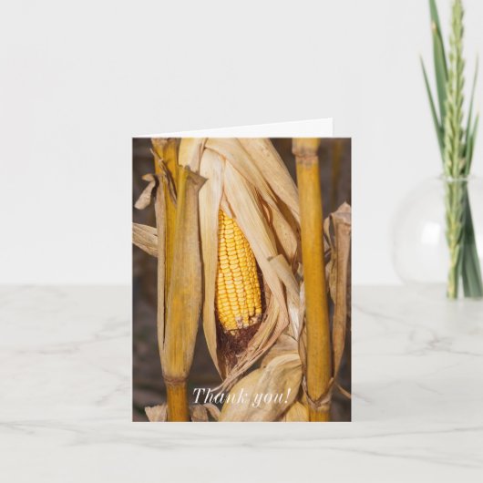 Corn Cobb op Stalk - Hartelijk dank Bedankkaart (Voorkant)
