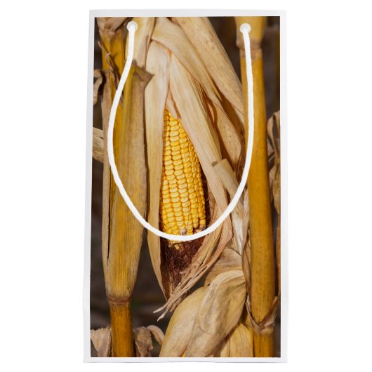 Corn Cobb op Stalk Klein Cadeauzakje (Voorkant)