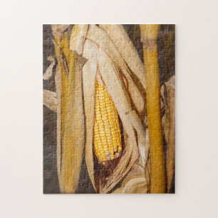 Corn Cobb op Stalk Legpuzzel