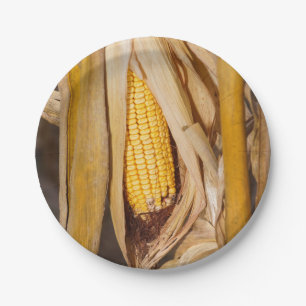 Corn Cobb op Stalk Papieren Bordje