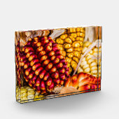 Corn cobs fotoblokken (Links)