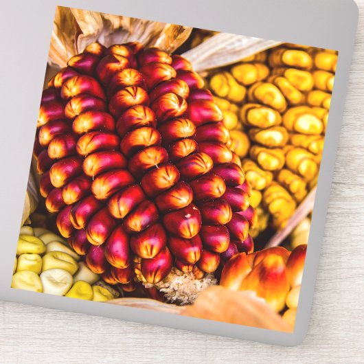 Corn cobs sticker (Detail)
