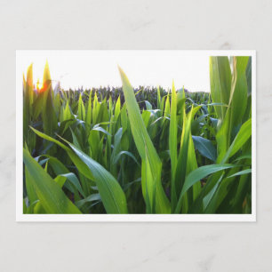 Corn Field Harvest Photo Invitation Sjabloon Kaart