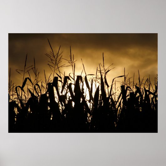 Corn field Silhouettes Poster (Voorkant)