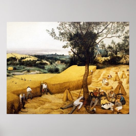 Corn Harvest - 1565 Poster (Voorkant)