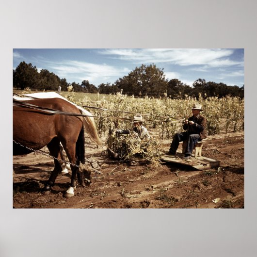 Corn Harvest: 1940 Poster (Voorkant)
