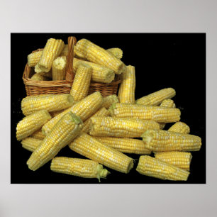 Corn Harvest Poster