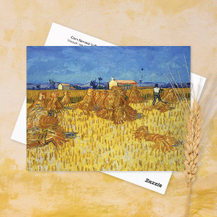 Corn Harvest Provence Vincent van Gogh Briefkaart