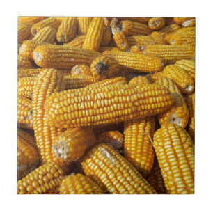 Corn Harvest Tegeltje