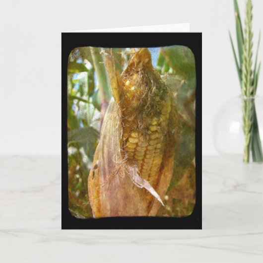 Corn op de krab kaart (Voorkant)