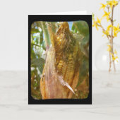 Corn op de krab kaart (Gele Bloem)