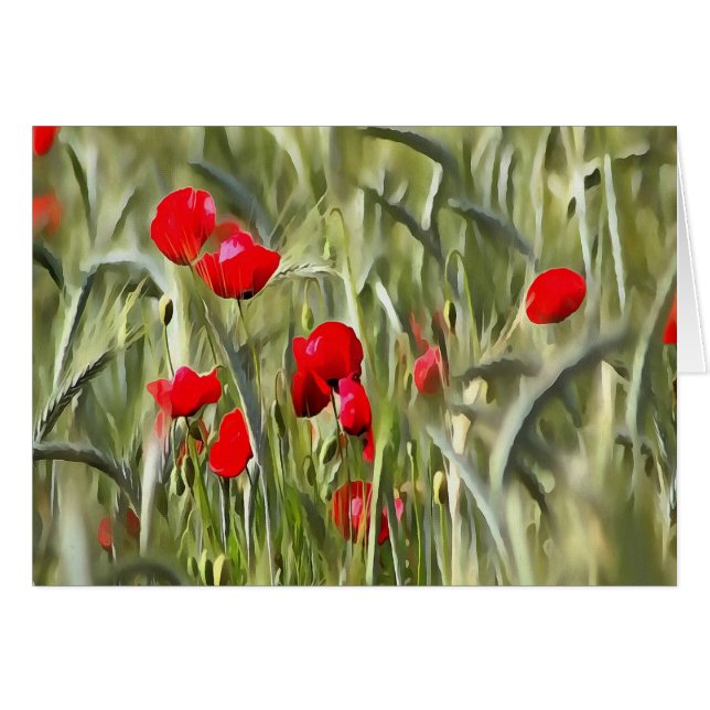 Corn Poppies (Devant horizontal)