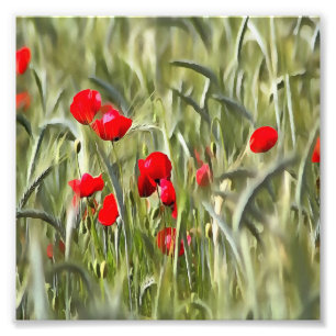 Corn Poppies Foto Afdruk