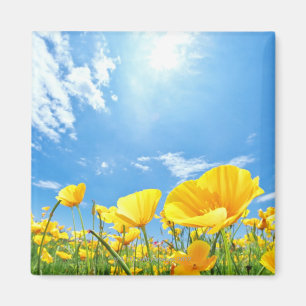 Corn Poppy Field Magneet