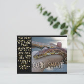CORN SNAKE BRIEFKAART (Staand voorkant)