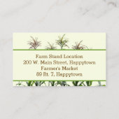 Corn Stalks Cartes de visite du marché de stand de (Dos)