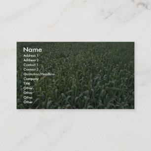Corn-veld Visitekaartje