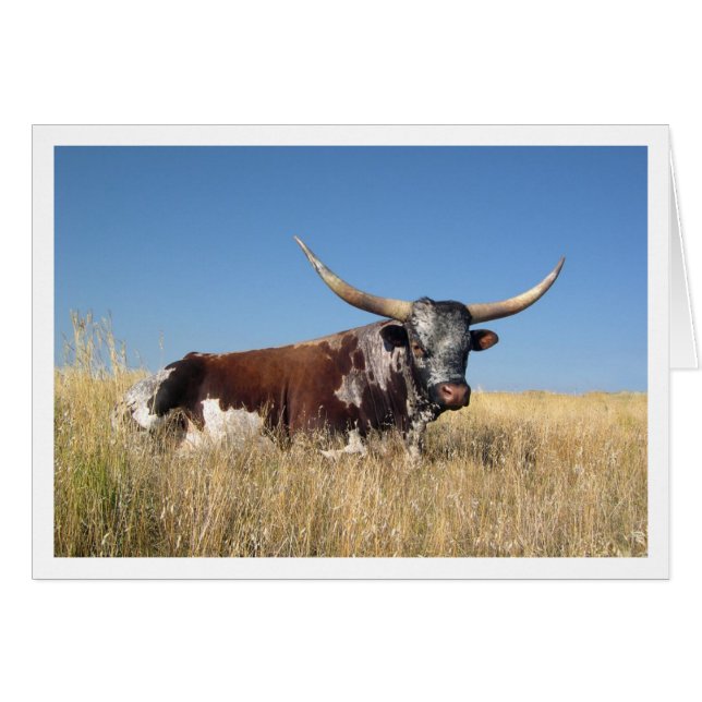 Corne longue (Devant horizontal)