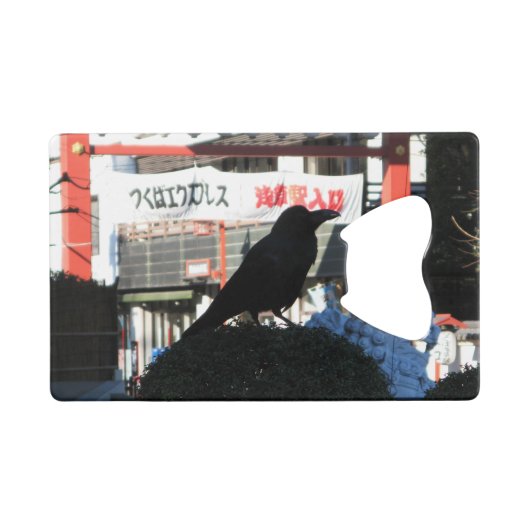 Corneille japonaise (Devant (Horizontal))