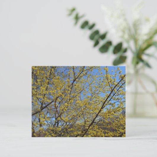 Cornelian Cherry Dogwood en Blue Sky Floral Briefkaart (Staand voorkant)
