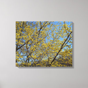 Cornelian Cherry Dogwood en Blue Sky Floral Canvas Afdruk