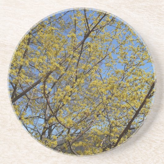 Cornelian Cherry Dogwood en Blue Sky Floral Zandsteen Onderzetter (Voorkant)