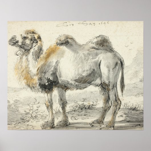 Cornelis Saftleven - A Camel Poster (Voorkant)